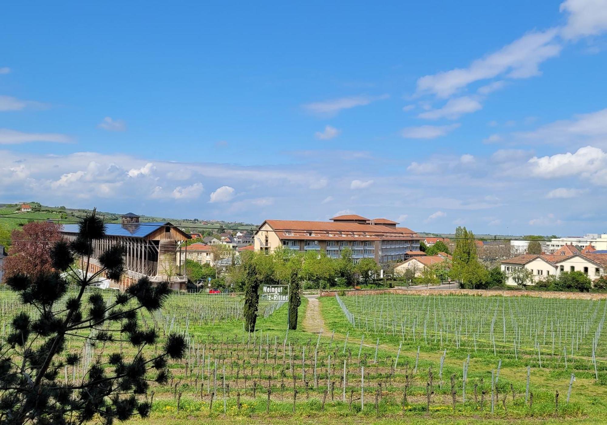 Ihr Bett Mit Blick Auf Die Weinberge Bad Dürkheim Kültér fotó