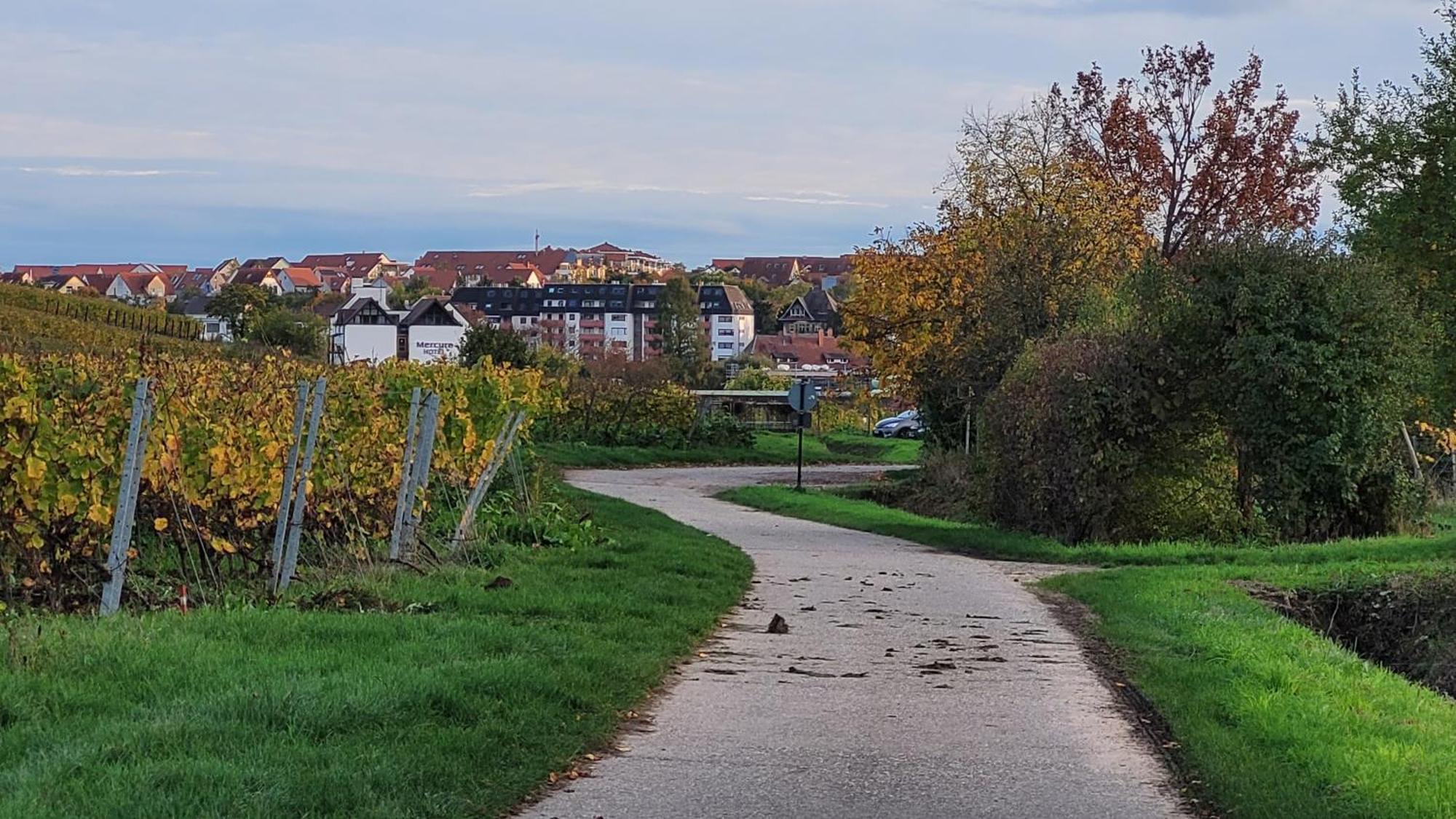 Ihr Bett Mit Blick Auf Die Weinberge Bad Dürkheim Kültér fotó