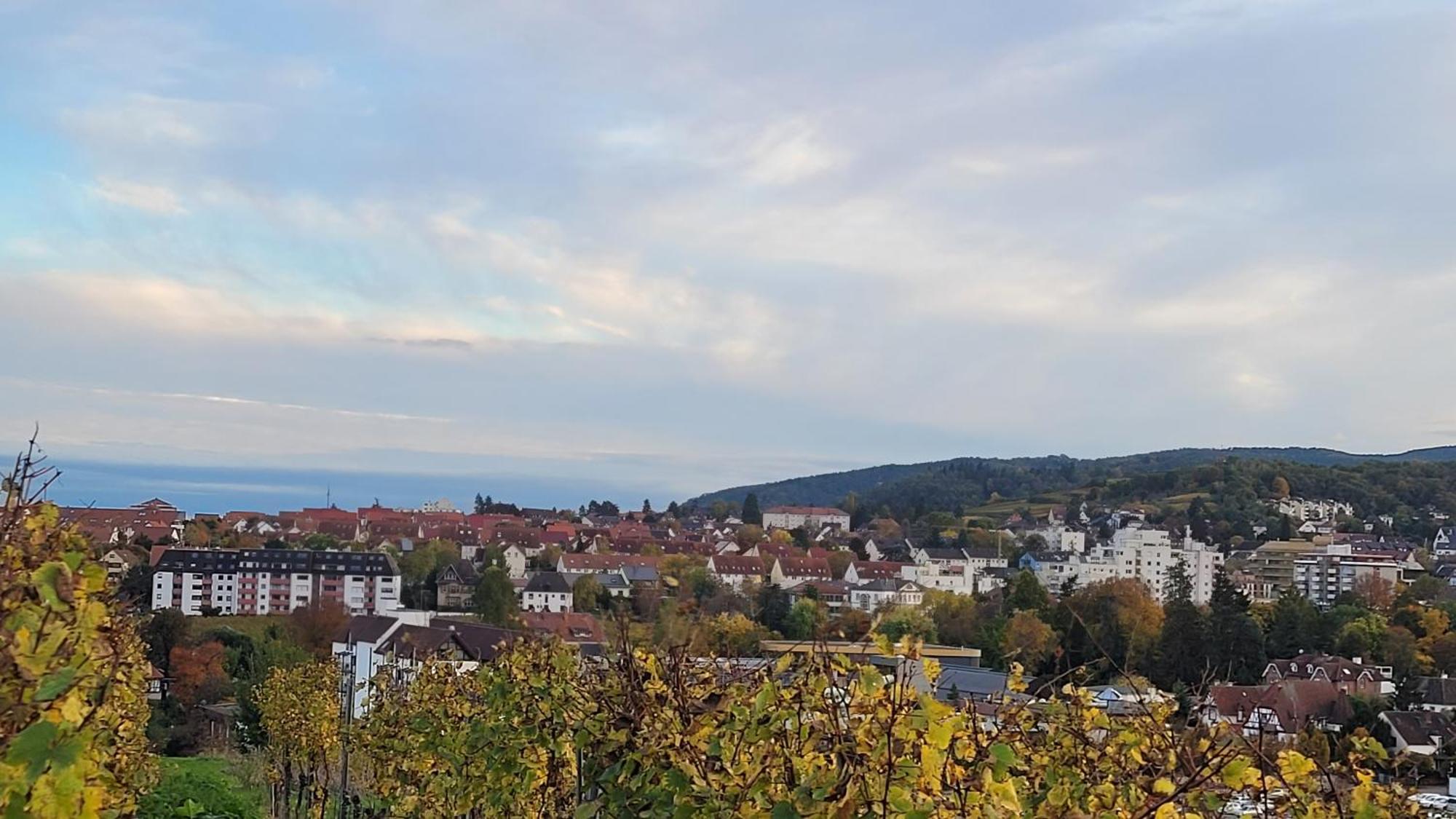 Ihr Bett Mit Blick Auf Die Weinberge Bad Dürkheim Kültér fotó